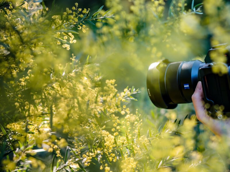 photography courses perth